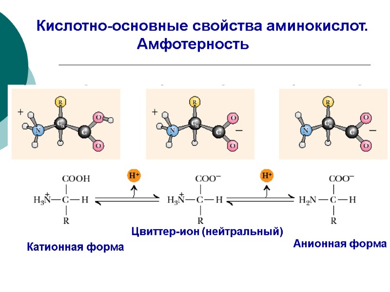 Кислотно-основные свойства аминокислот.           